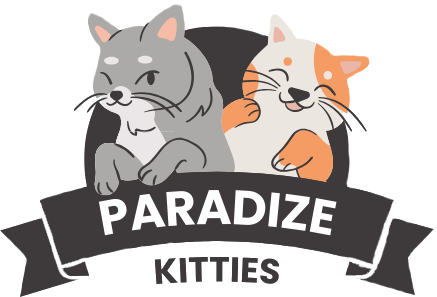 kitties For Sale | Ragdoll Kittens | Munchkin kittens