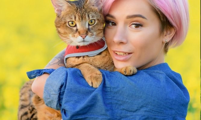 Transport a Kitten in Dubai