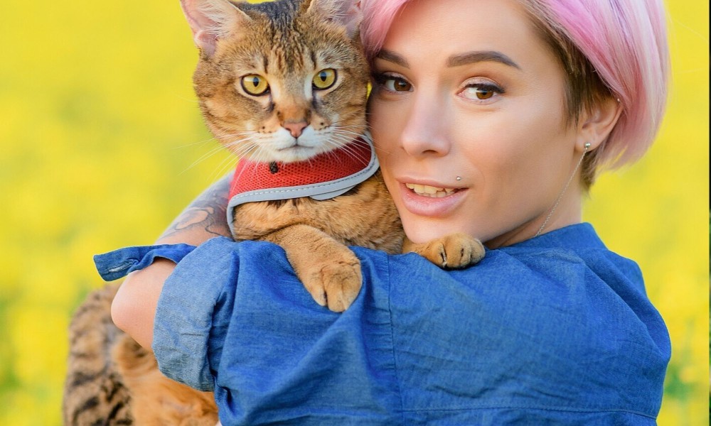 Munchkin cat price in UAE